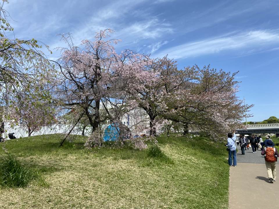 06あるく力
