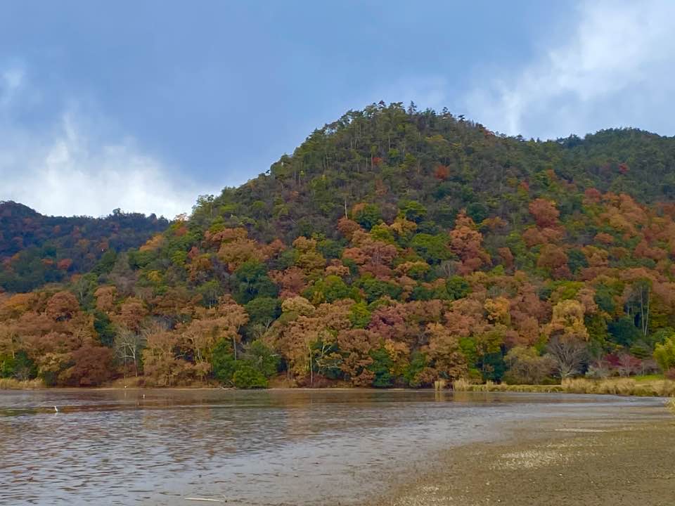 10広沢の池