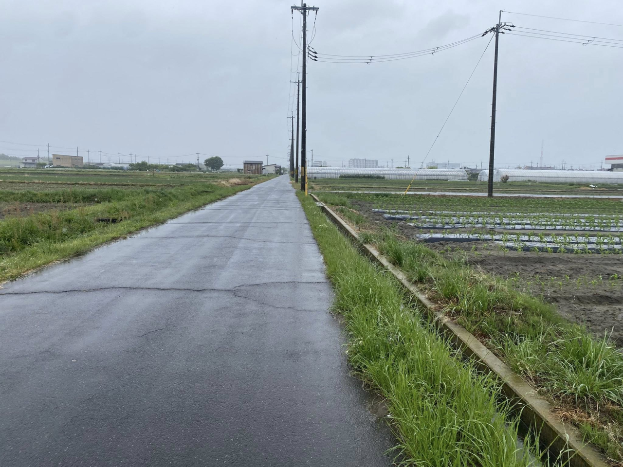 02途中の農道