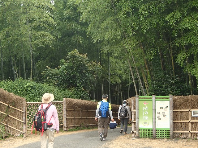 竹林の道へ