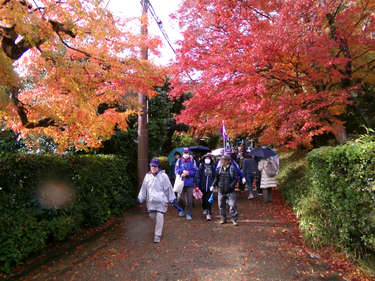 04紅葉のトンネル