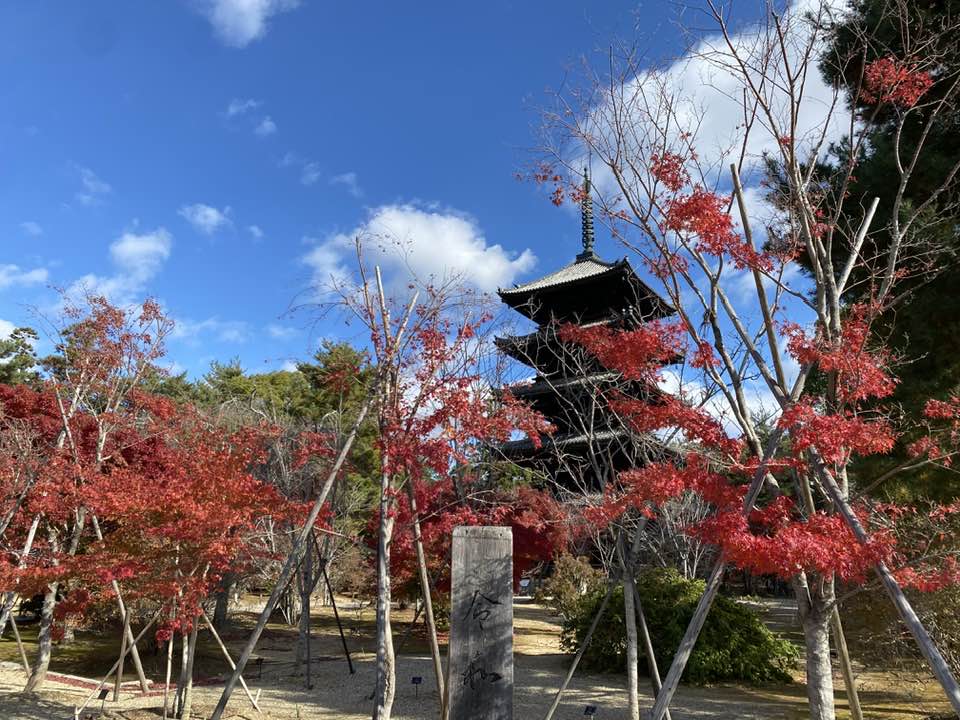 仁和寺五重塔