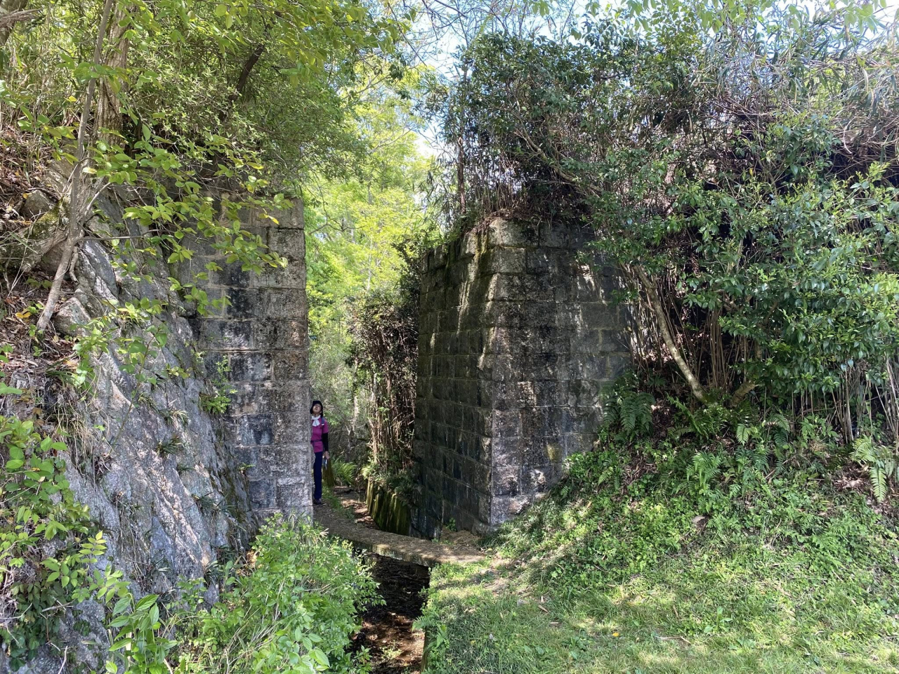07鹿背山橋台