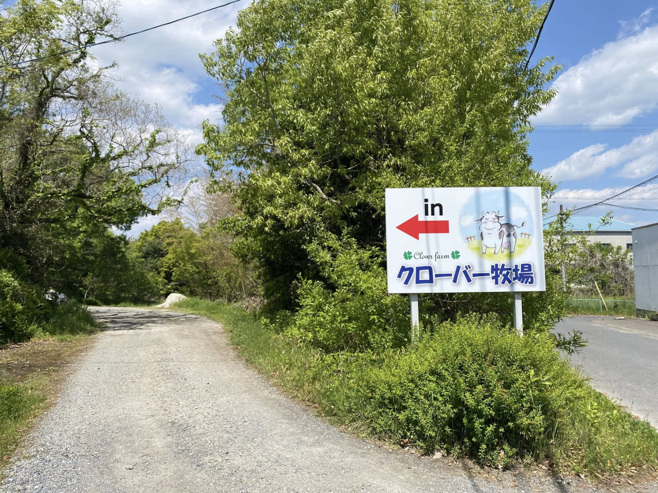 08クローバー牧場